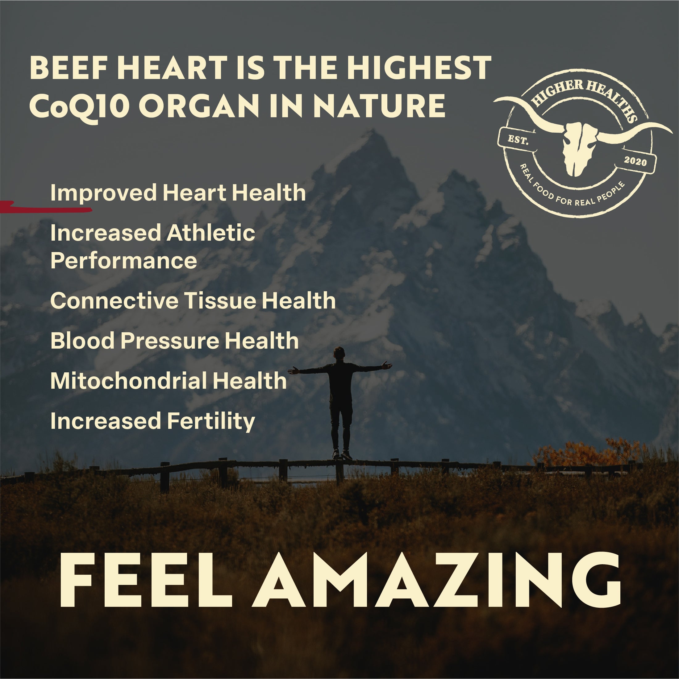 Beef Heart - Antioxidant Abundance