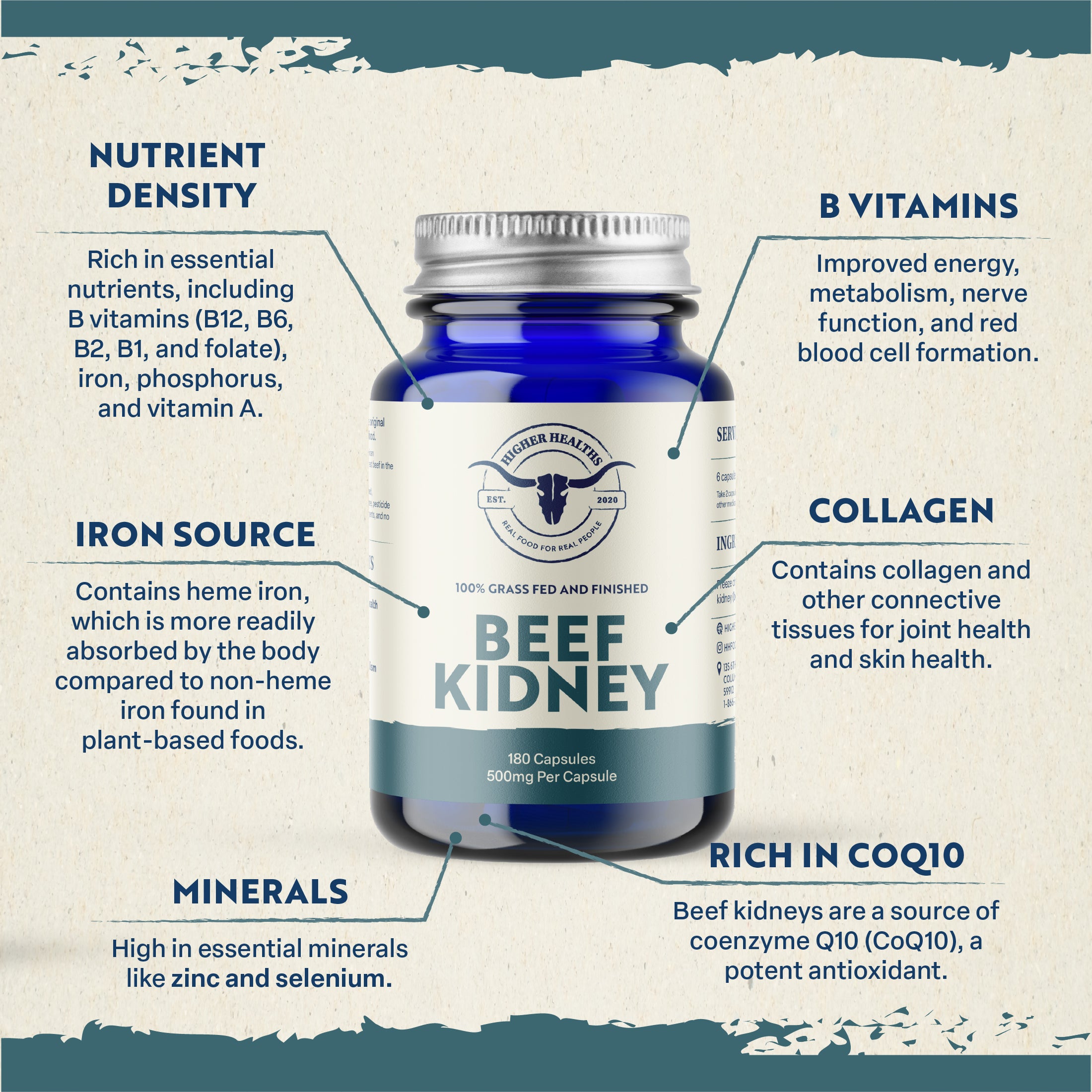 Beef Kidney - Immune Maker